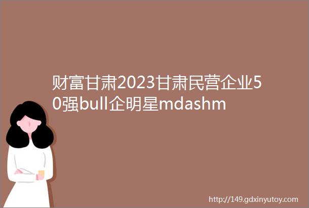 财富甘肃2023甘肃民营企业50强bull企明星mdashmdash兰州宏建建业集团有限公司