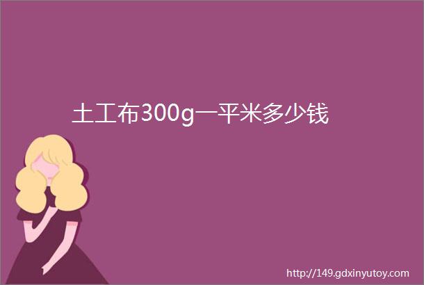 土工布300g一平米多少钱