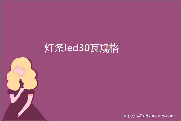 灯条led30瓦规格