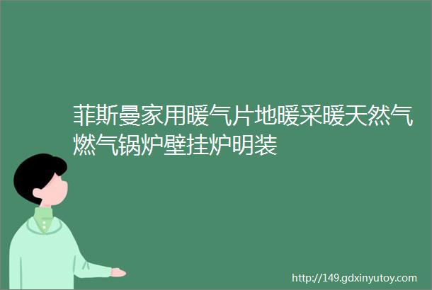 菲斯曼家用暖气片地暖采暖天然气燃气锅炉壁挂炉明装