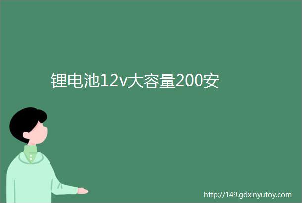 锂电池12v大容量200安