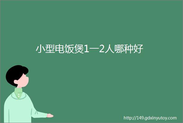 小型电饭煲1一2人哪种好