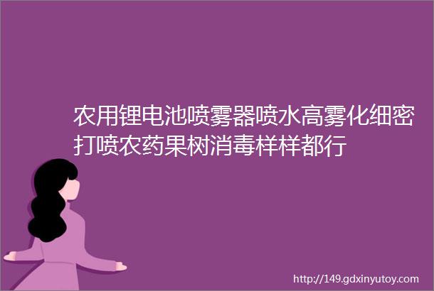 农用锂电池喷雾器喷水高雾化细密打喷农药果树消毒样样都行