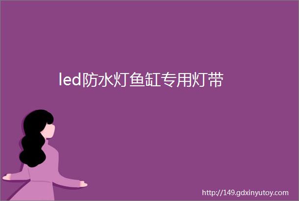 led防水灯鱼缸专用灯带