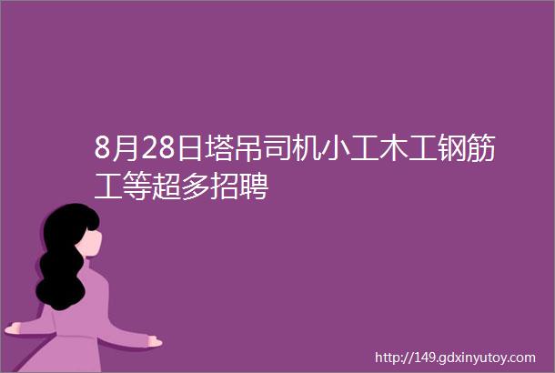 8月28日塔吊司机小工木工钢筋工等超多招聘