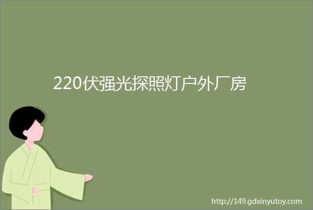 220伏强光探照灯户外厂房