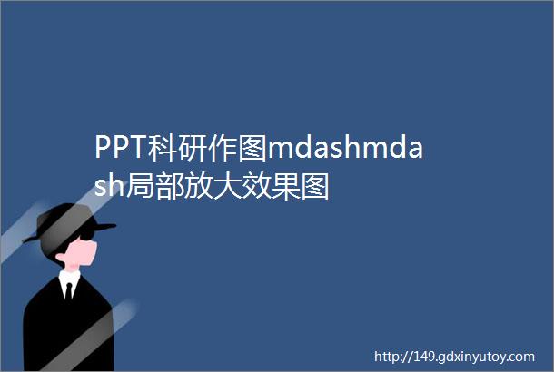 PPT科研作图mdashmdash局部放大效果图