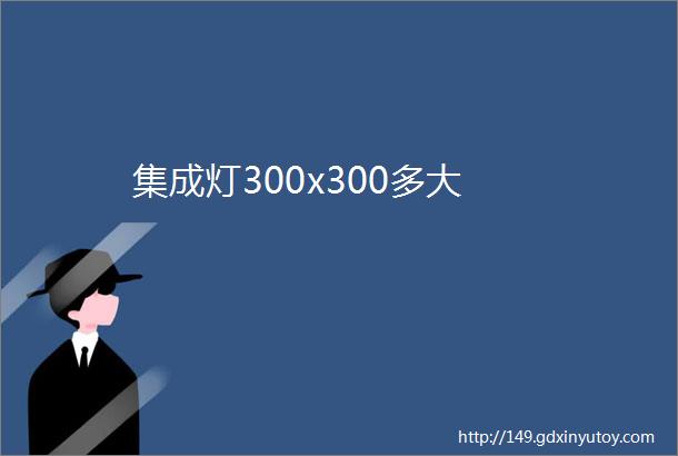 集成灯300x300多大