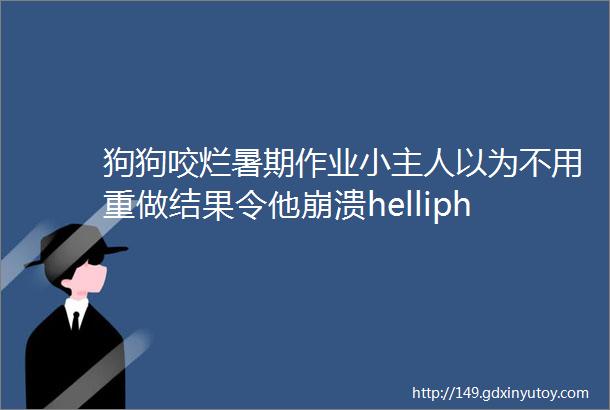 狗狗咬烂暑期作业小主人以为不用重做结果令他崩溃helliphellip