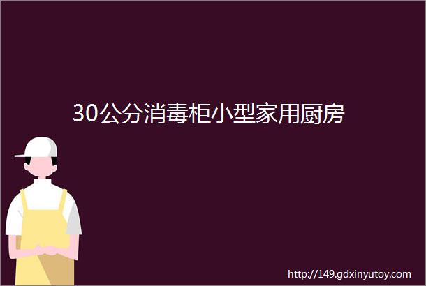 30公分消毒柜小型家用厨房