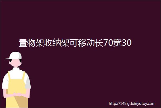 置物架收纳架可移动长70宽30