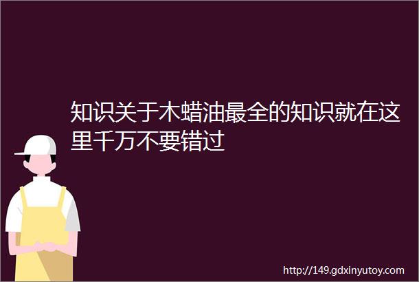 知识关于木蜡油最全的知识就在这里千万不要错过