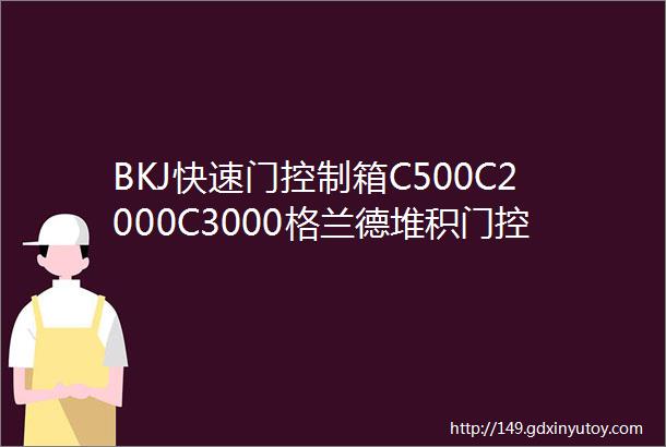 BKJ快速门控制箱C500C2000C3000格兰德堆积门控制器