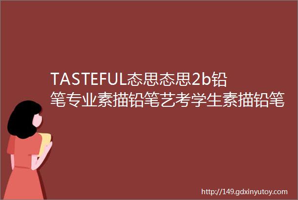 TASTEFUL态思态思2b铅笔专业素描铅笔艺考学生素描铅笔套