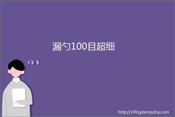 漏勺100目超细