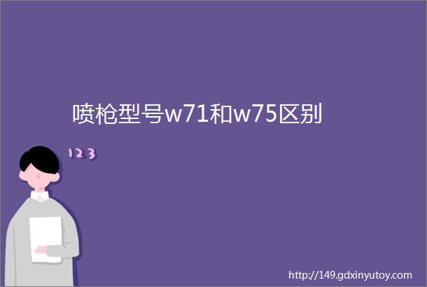 喷枪型号w71和w75区别