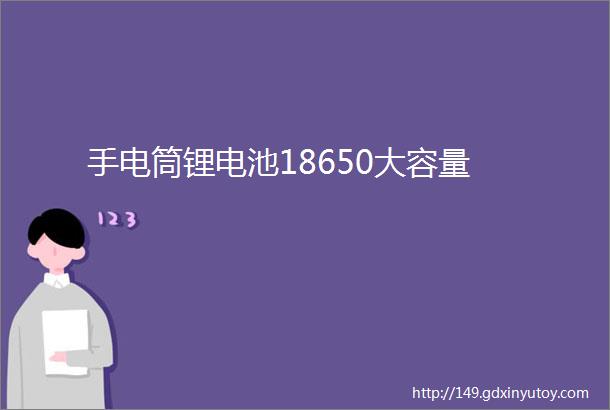 手电筒锂电池18650大容量