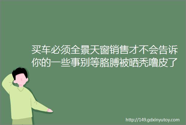 买车必须全景天窗销售才不会告诉你的一些事别等胳膊被晒秃噜皮了才知道