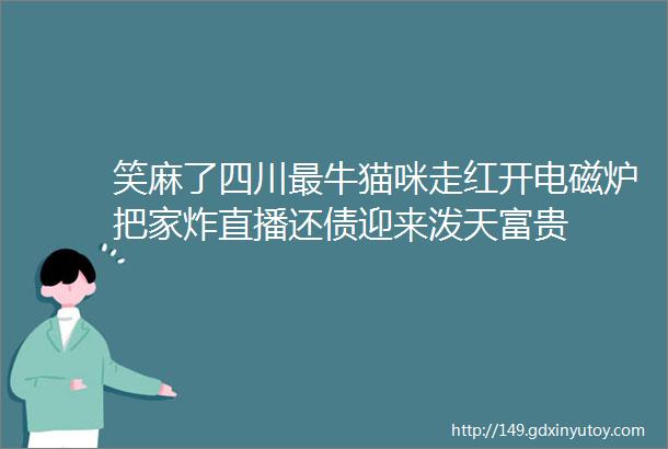 笑麻了四川最牛猫咪走红开电磁炉把家炸直播还债迎来泼天富贵